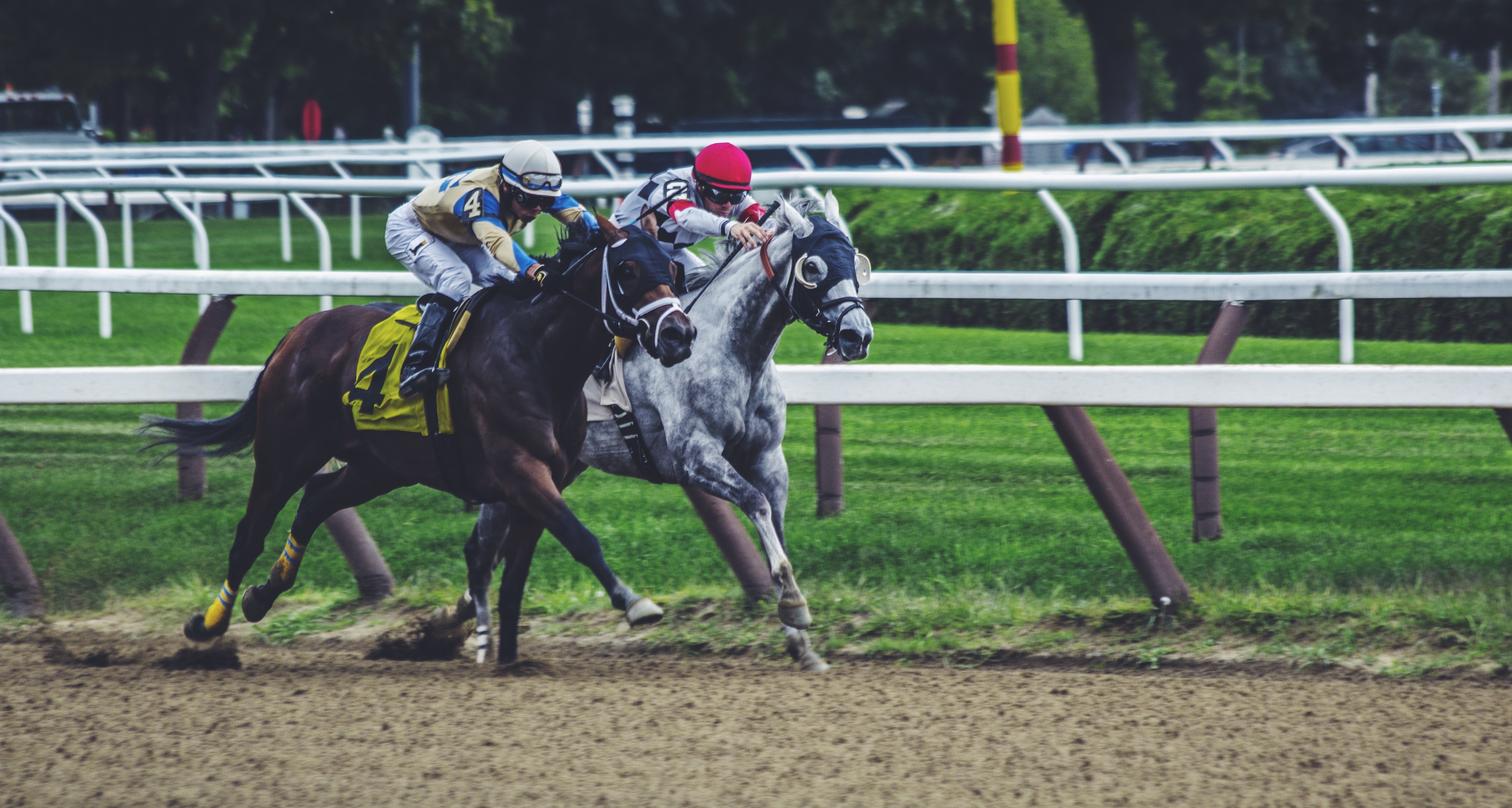 Vchtalking Horses Picks 87 - yg4q307