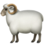 🐑